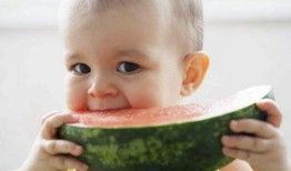 拼命吃瓜小孩,拼命吃瓜小孩的疯狂日常