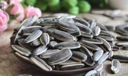 梦见摘瓜吃瓜子,摘瓜吃瓜子，探寻瓜子的神秘寓意