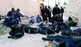 吃瓜网中国警察,中国警察的日常与风采