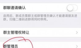 群聊语音吃瓜,揭秘网络社交背后的趣味与争议