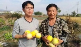 吃瓜群众5058,网络热议背后的真相