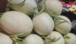 吃馅的黄色瓜叫什么瓜,探寻美味与传说的瓜中珍品