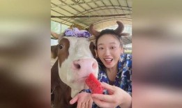 牛牛吃瓜网,揭秘娱乐圈幕后故事，带你走进明星真实生活