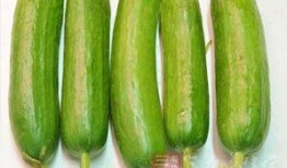 歪果吃瓜,揭秘国际娱乐圈的幕后故事