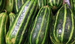 吃瓜吗吃瓜吃吧,揭秘“吃瓜吗吃瓜吃吧”现象背后的故事