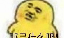 吃瓜表情包get,揭秘网络社交中的趣味与智慧