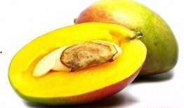 Mango吃瓜尤里,揭秘网络红人的瓜田奇遇