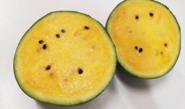 上海新冠吃瓜,吃瓜群众视角下的疫情观察