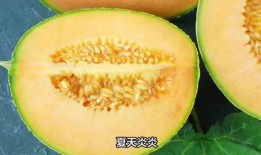 吃冰冻蜜瓜视频,冰冻蜜瓜，甜蜜解渴的清凉体验