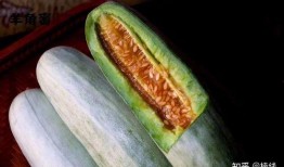 吃羊角蜜瓜吗,羊角蜜瓜的口感与魅力