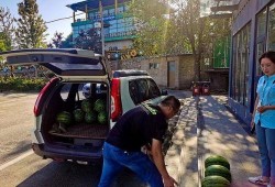 驾校吃瓜,吃瓜群众揭秘学车那些事儿