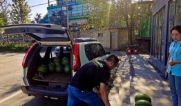 驾校吃瓜,吃瓜群众揭秘学车那些事儿