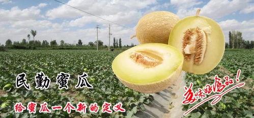 吃蜜瓜回忆,一段甜蜜的童年记忆